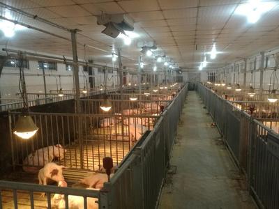 實驗基地動物飼養管理體系